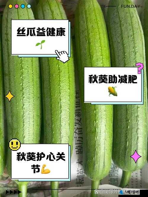 91 草莓樱桃丝瓜绿巨人秋葵榴莲：探索水果与蔬菜的奇妙世界